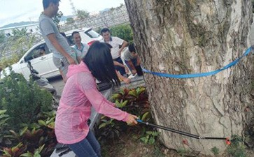 點(diǎn)將科技順利通過(guò)三亞市林業(yè)科學(xué)研究院木質(zhì)無(wú)損檢測(cè)項(xiàng)目驗(yàn)收