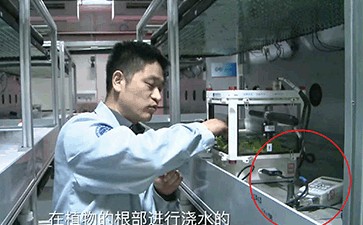 中國宇航員在太空站通過WET-2監(jiān)測萵苣生長狀況