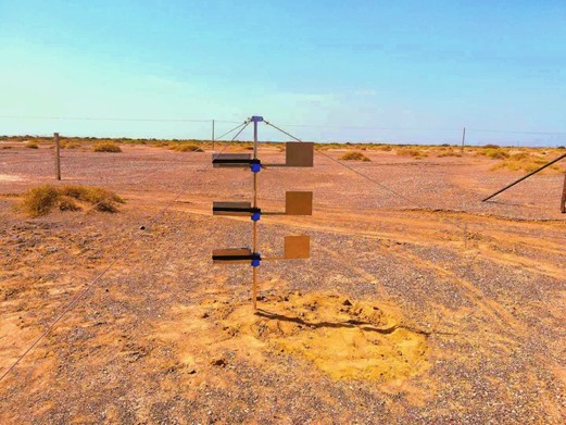 1632984755243072.png blob.png