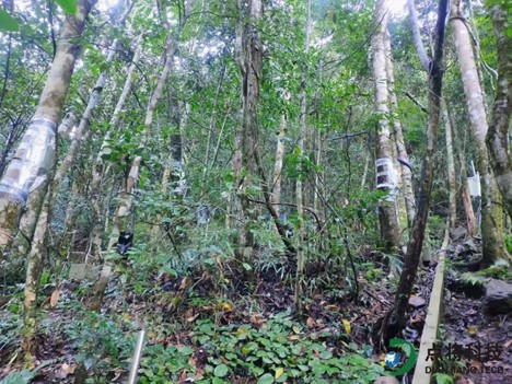 1632984792444158.png blob.png