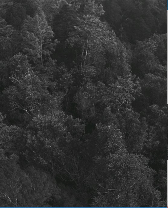 多光譜相機(jī)