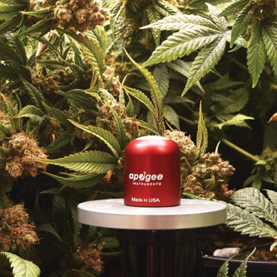 雙通道紅光和遠(yuǎn)紅外輻射傳感器