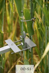 直徑生長(zhǎng)測(cè)量?jī)x