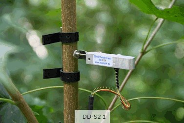 直徑生長(zhǎng)測(cè)量?jī)x