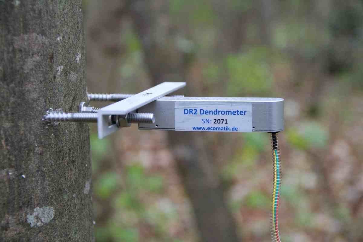 半徑生長測量儀