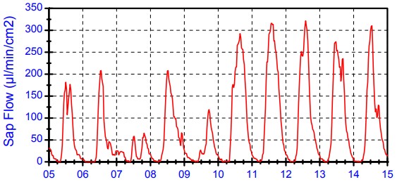 插針莖流監(jiān)測(cè) 插針莖流監(jiān)測(cè)