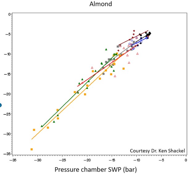 原位莖桿水勢測量儀 原位莖桿水勢測量儀
