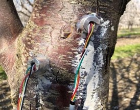 圖片關(guān)鍵詞 圖片關(guān)鍵詞